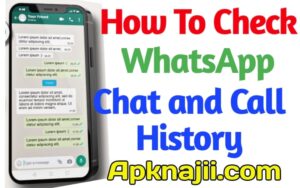 Check WhatsApp Chat Call History