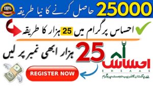 Ehsaas Program Online Registration 